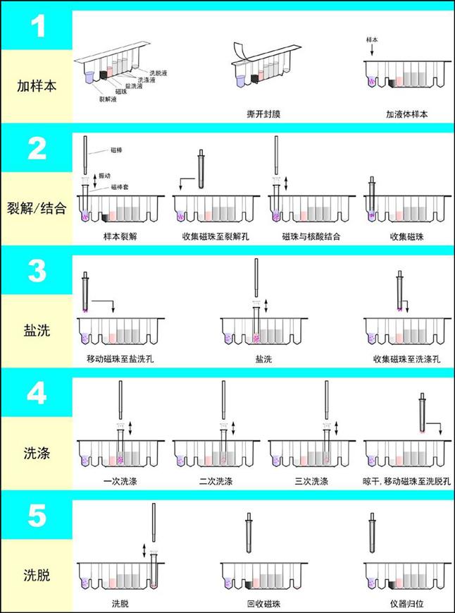 全自動核酸提取儀